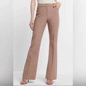 NWT Express Editor Pants 4R
